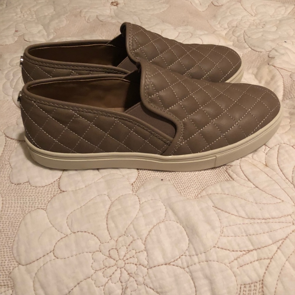 Steve Madden ecentrcq sneakers